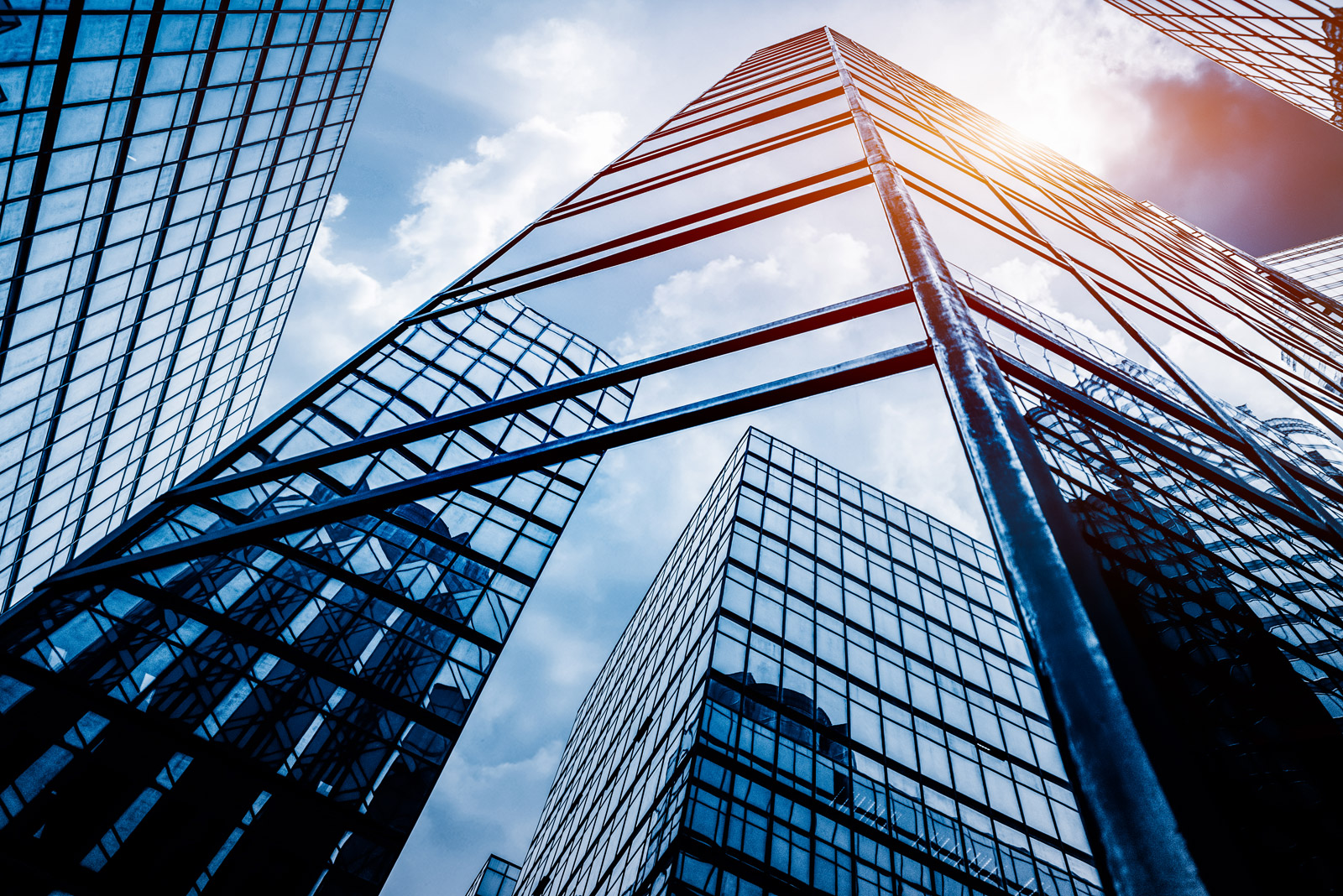 Transformative Leaders in Insurance Innovation