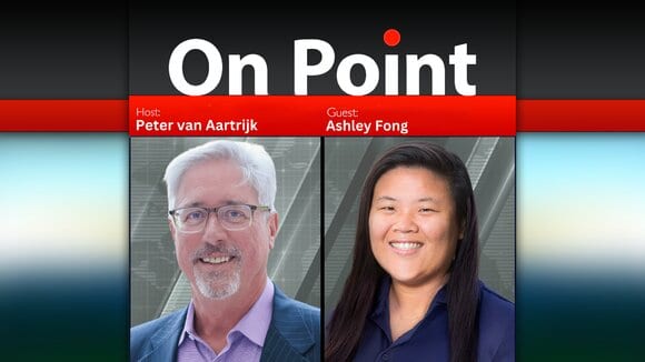 Humans and AI Fight Fraud Together - Podcast
